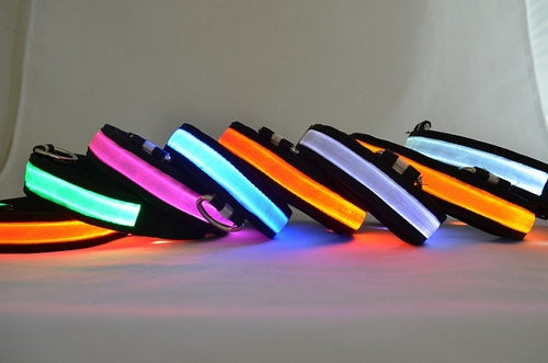 Collier pour chien lumineux à LED