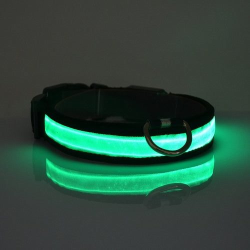 Collier pour chien lumineux à LED