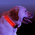 Collier pour chien lumineux à LED