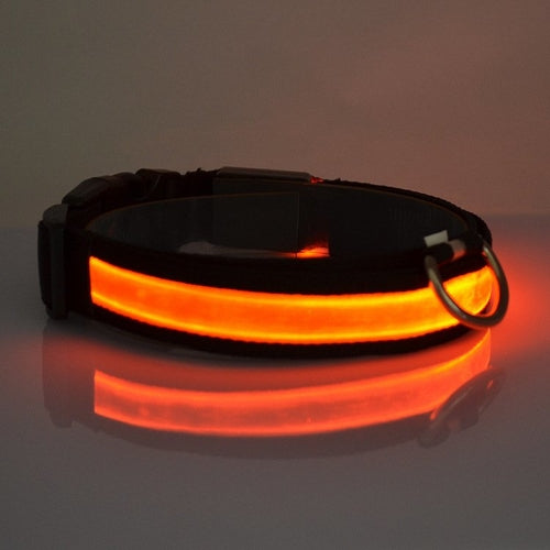 Collier pour chien lumineux à LED