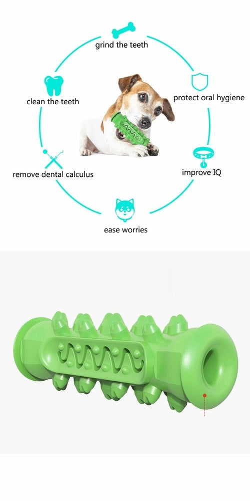 Jouet à mâcher pour chiens
